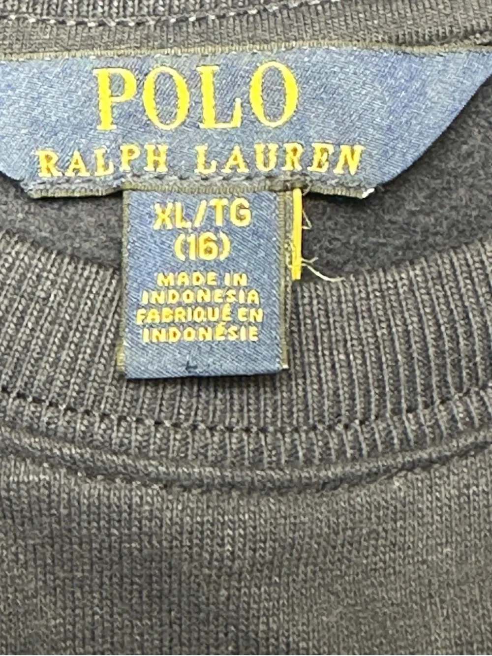 POLO RALPH LAUREN Big Girl Floral Fleece Sweatshirt Dress Newbury Floral 16/XL